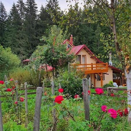 Forest Vibes Spa Cîmpu lui Neag Extérieur photo