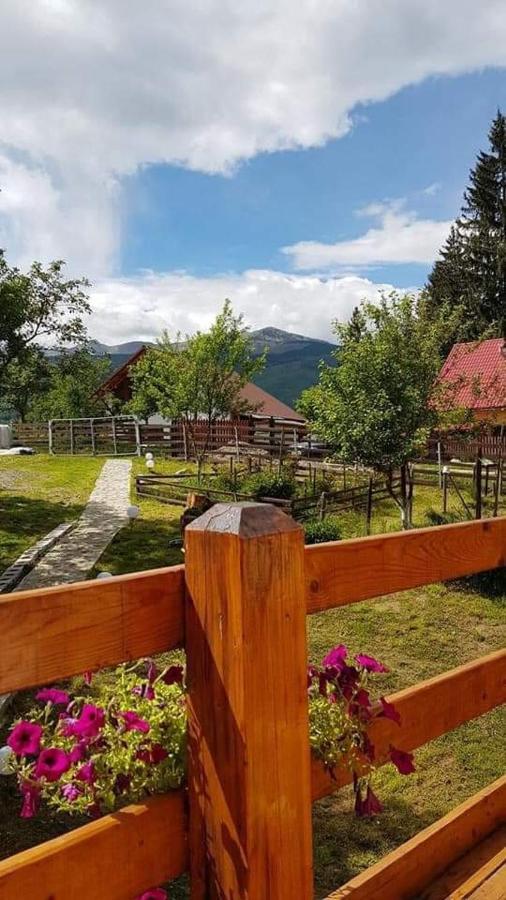 Forest Vibes Spa Cîmpu lui Neag Extérieur photo