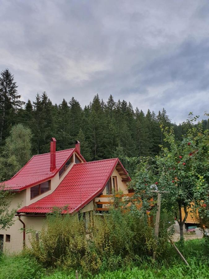 Forest Vibes Spa Cîmpu lui Neag Extérieur photo
