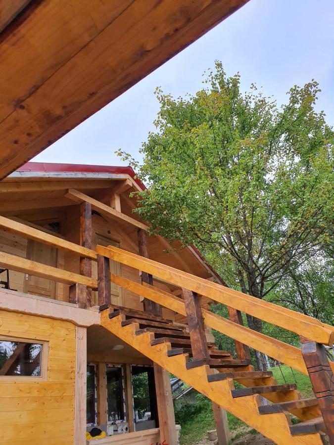 Forest Vibes Spa Cîmpu lui Neag Extérieur photo