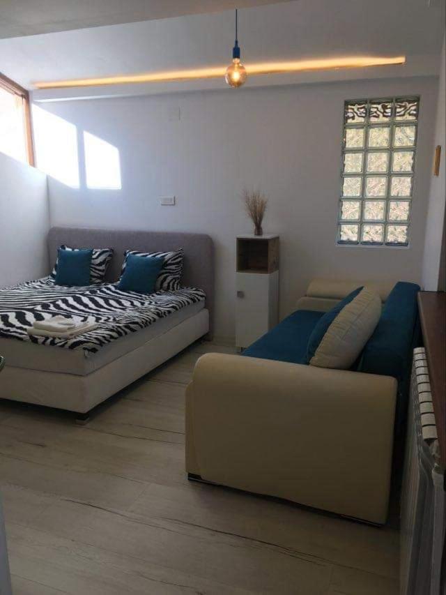 Forest Vibes Spa Cîmpu lui Neag Extérieur photo