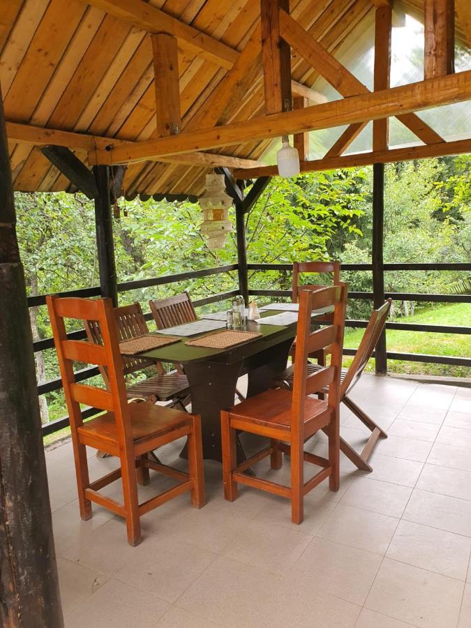Forest Vibes Spa Cîmpu lui Neag Extérieur photo