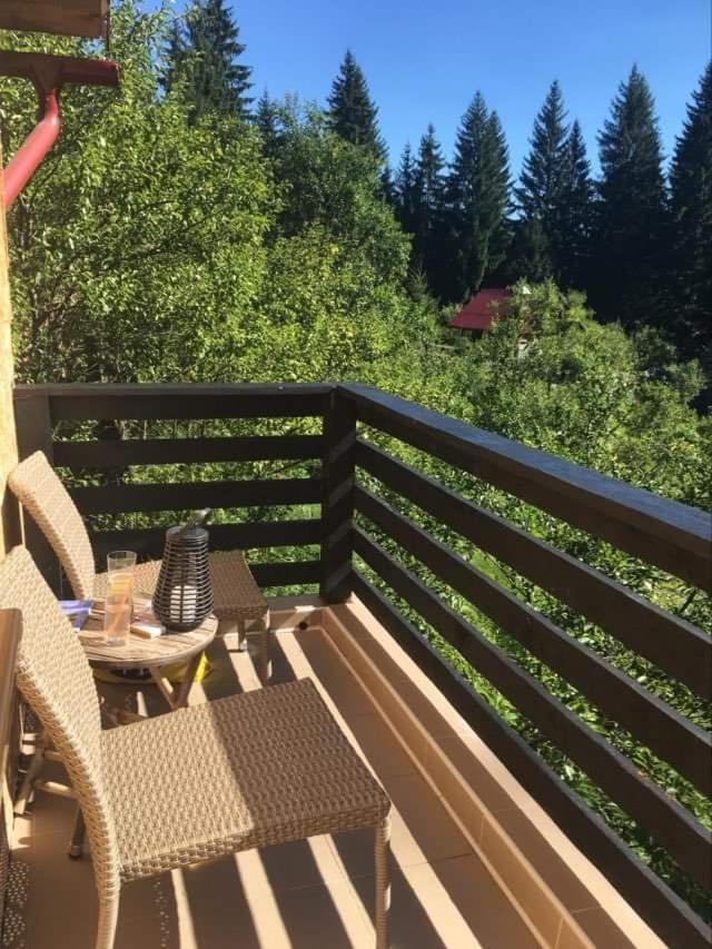 Forest Vibes Spa Cîmpu lui Neag Extérieur photo