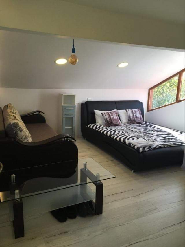 Forest Vibes Spa Cîmpu lui Neag Extérieur photo