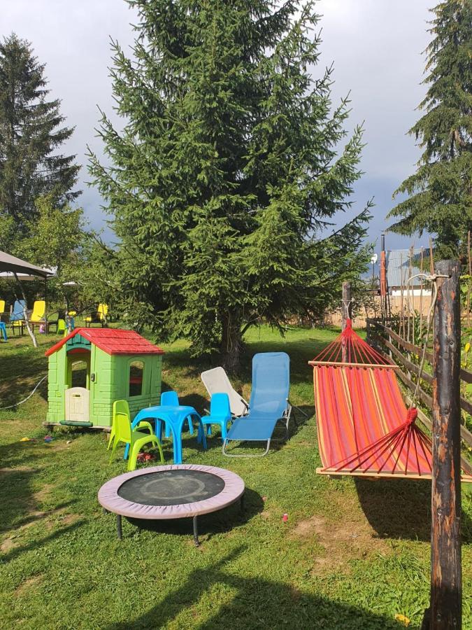 Forest Vibes Spa Cîmpu lui Neag Extérieur photo