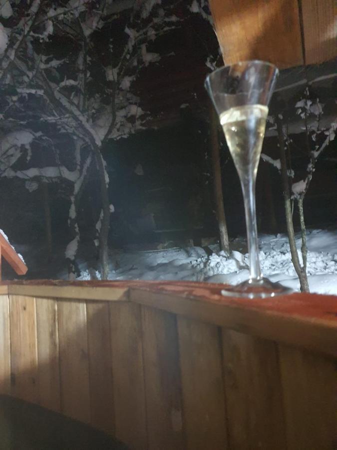 Forest Vibes Spa Cîmpu lui Neag Extérieur photo