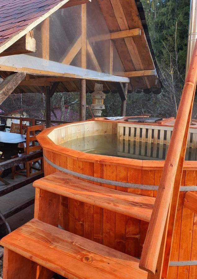 Forest Vibes Spa Cîmpu lui Neag Extérieur photo