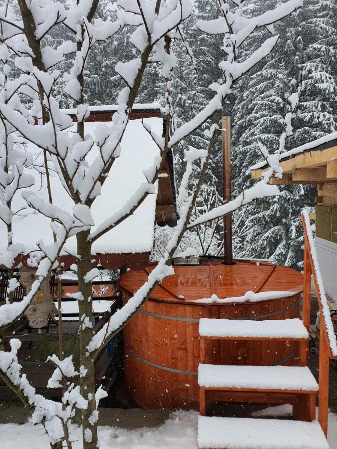 Forest Vibes Spa Cîmpu lui Neag Extérieur photo