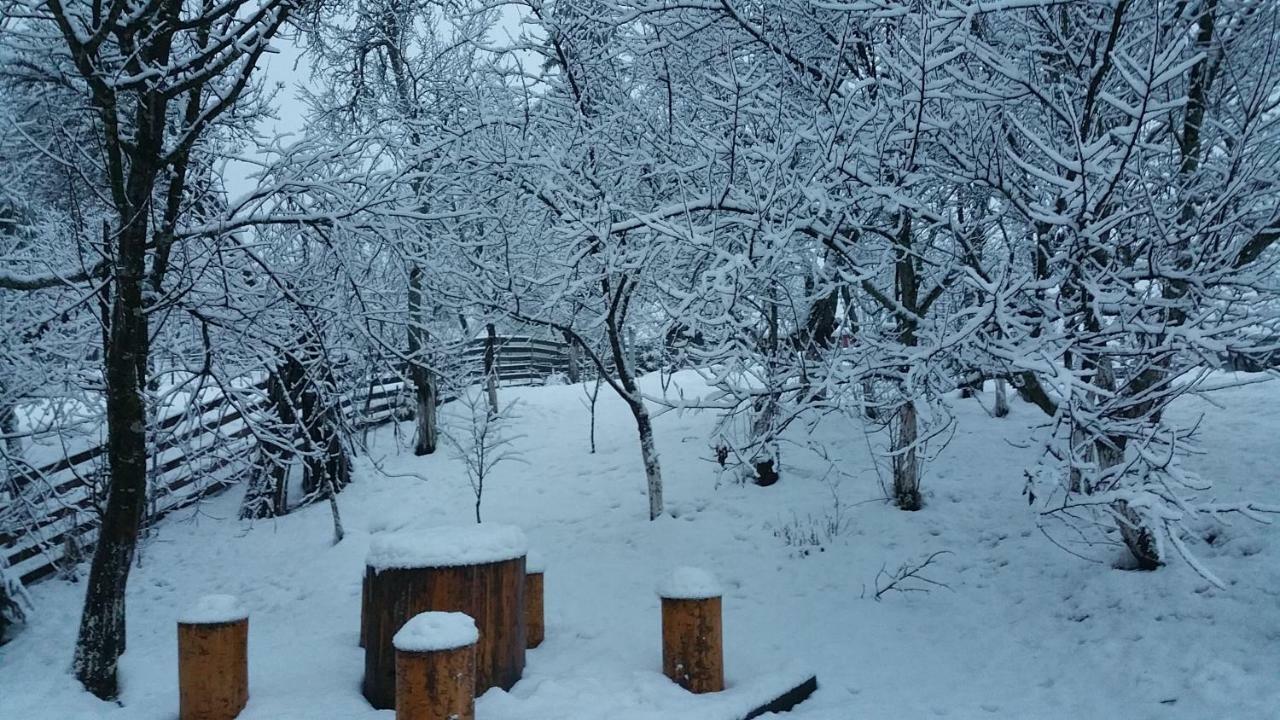 Forest Vibes Spa Cîmpu lui Neag Extérieur photo