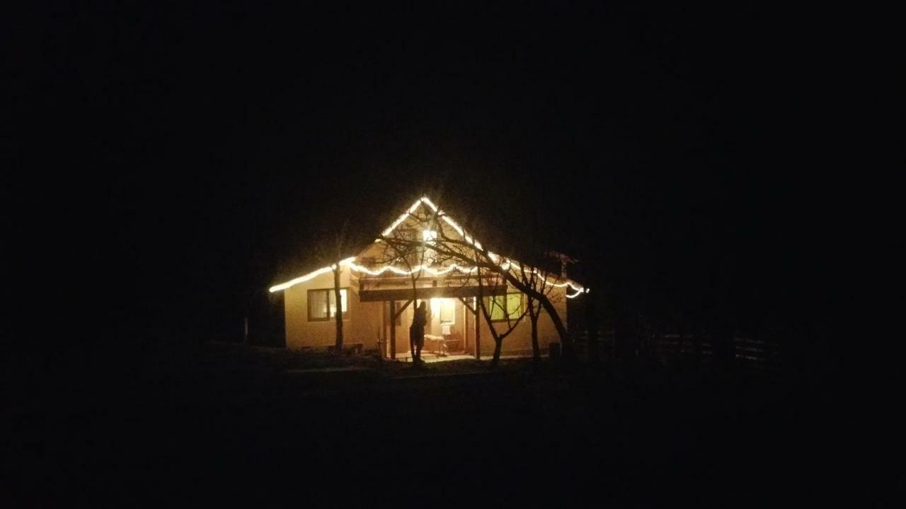 Forest Vibes Spa Cîmpu lui Neag Extérieur photo