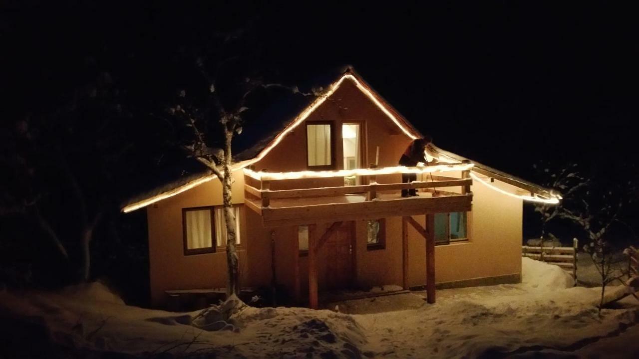 Forest Vibes Spa Cîmpu lui Neag Extérieur photo