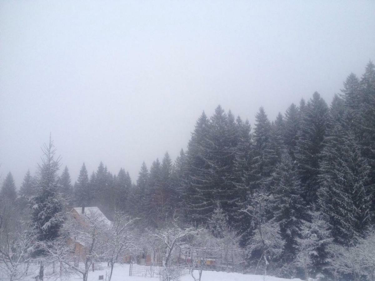 Forest Vibes Spa Cîmpu lui Neag Extérieur photo