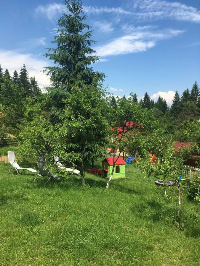 Forest Vibes Spa Cîmpu lui Neag Extérieur photo