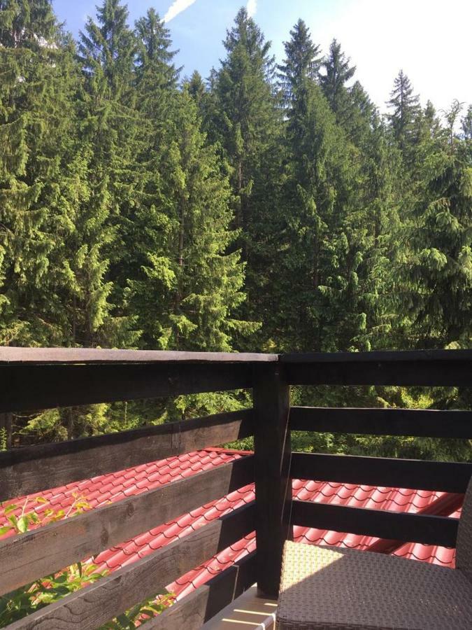 Forest Vibes Spa Cîmpu lui Neag Extérieur photo
