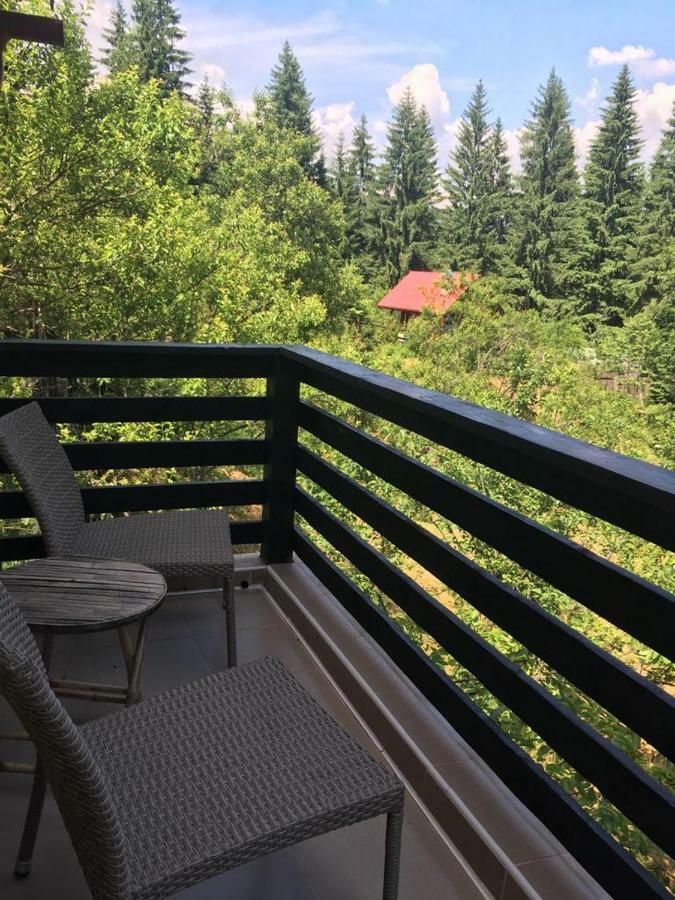 Forest Vibes Spa Cîmpu lui Neag Extérieur photo