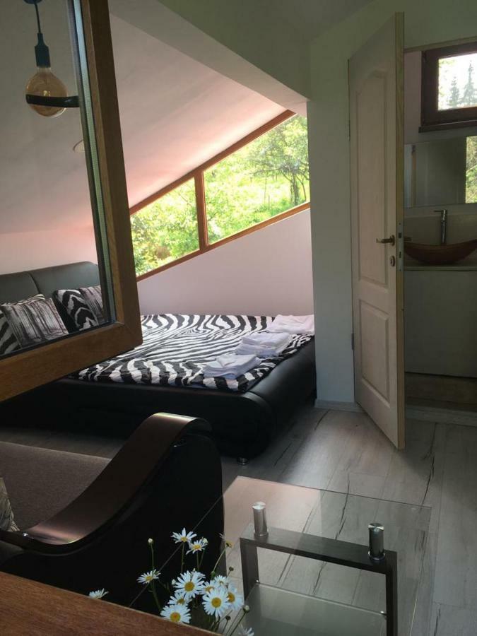 Forest Vibes Spa Cîmpu lui Neag Extérieur photo