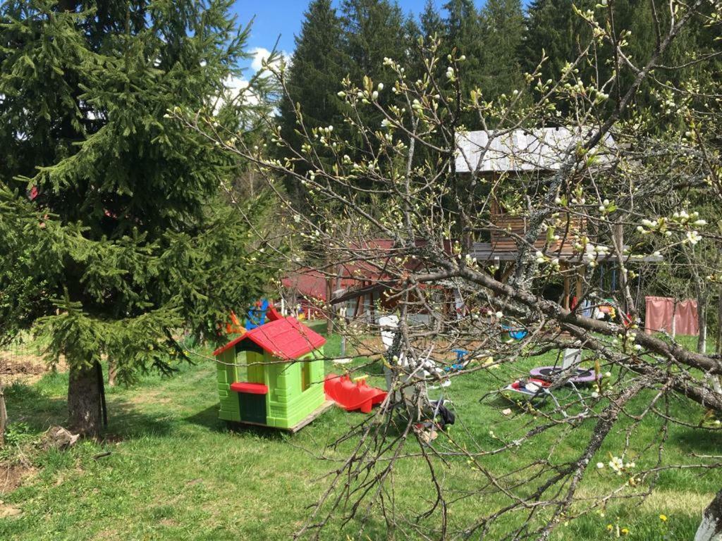Forest Vibes Spa Cîmpu lui Neag Extérieur photo
